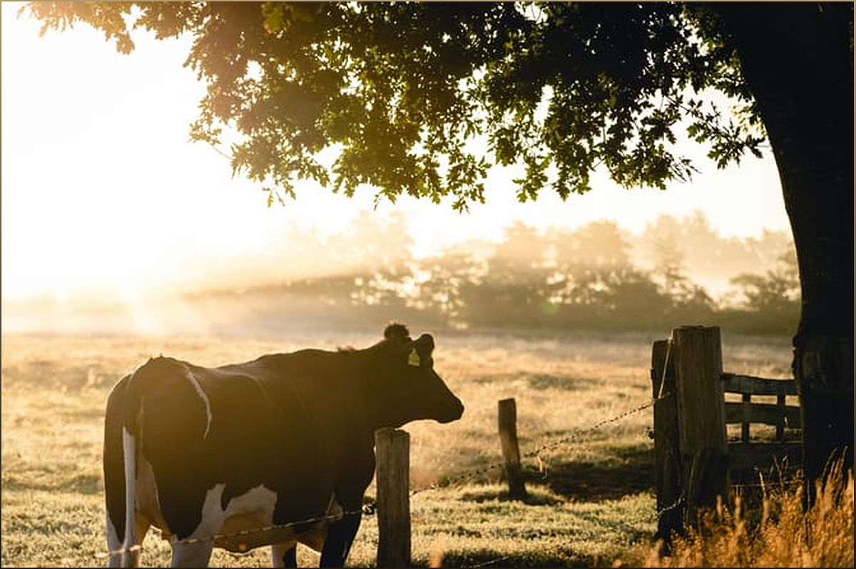 Master Your Farming Skills with Farming Connect's Expert-Led Masterclasses - -1761078003