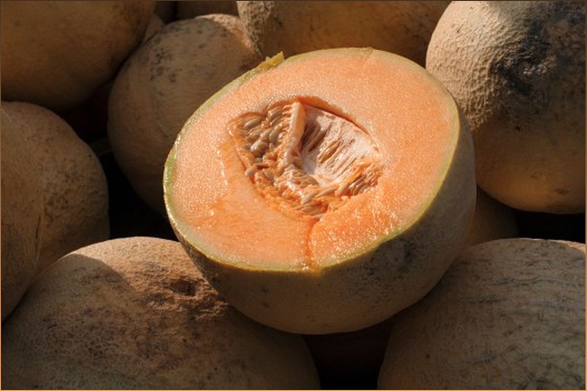 Salmonella Outbreak: Cantaloupe Recall Expanded, FDA Urges Caution - 1284064312