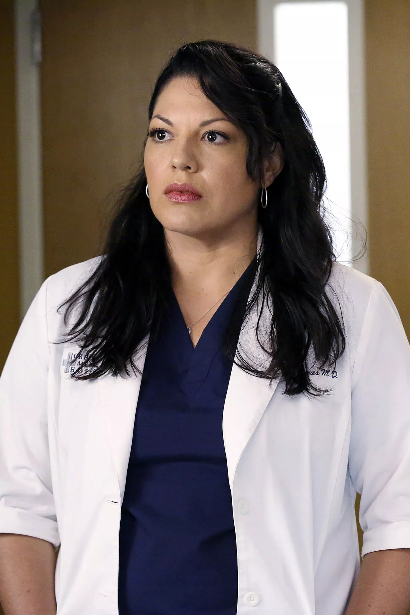 SARA RAMIREZ, JESSICA CAPSHAW