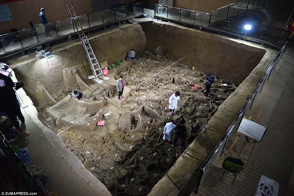 The pit is one of a cluster of tombs thought to hold the remains of noble families of the Zheng State, who ruled the region intermittently between 770 and 221 BC. Experts inspect the site