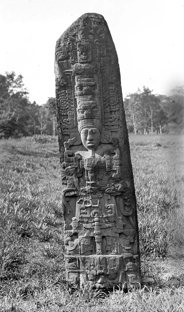 StelaDQuirigua