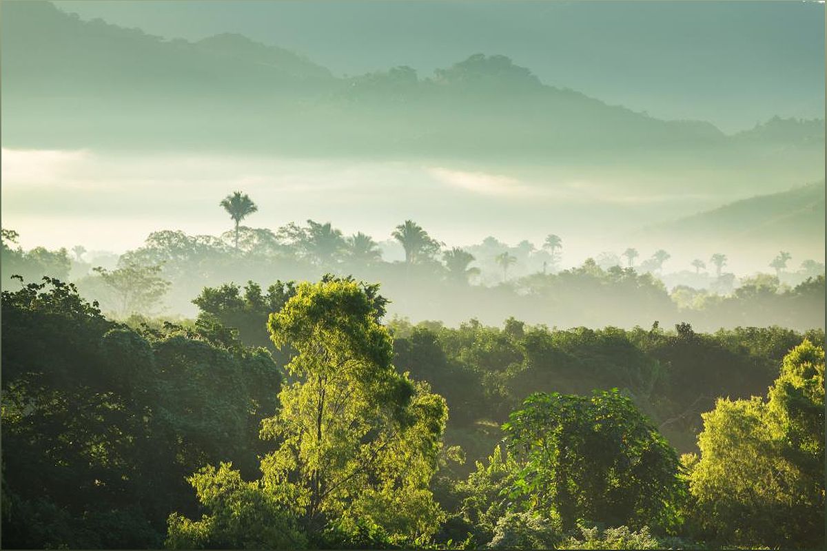 EU and Honduras Sign Forest Partnership to Combat Climate Change - 866675171