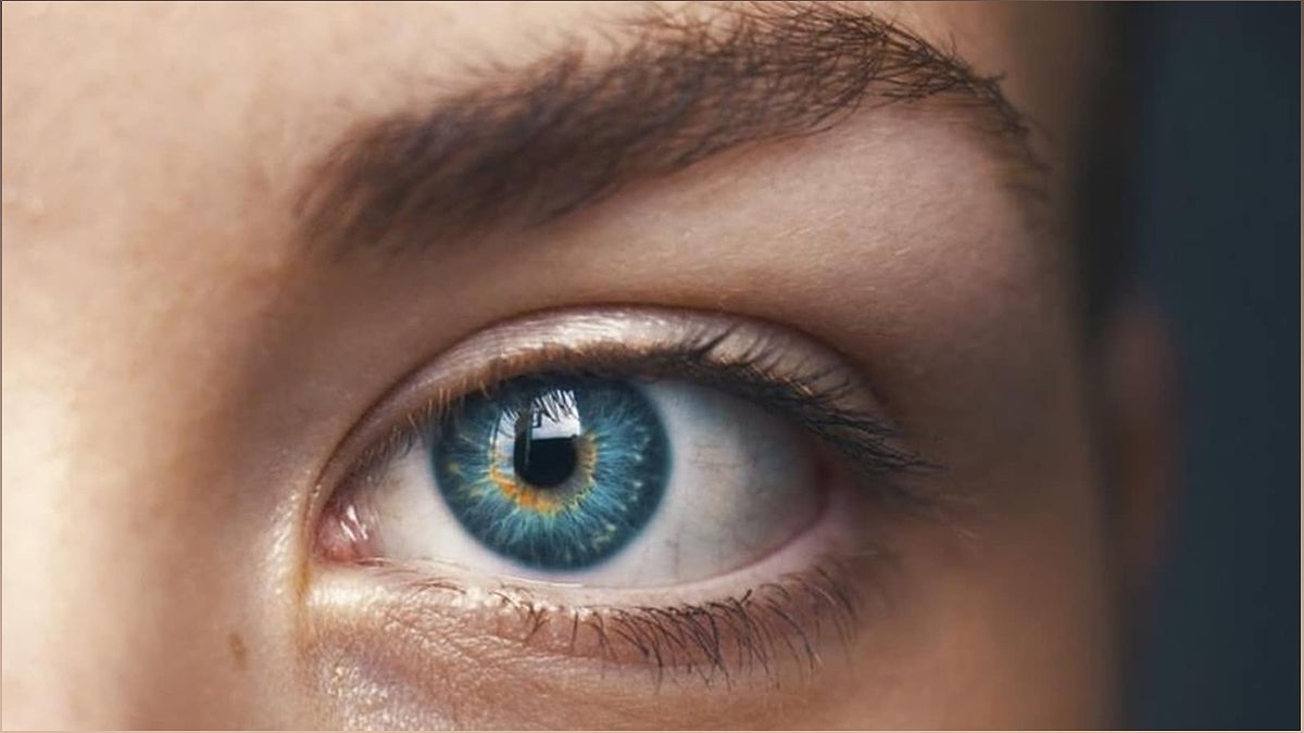 Revolutionizing Kidney Disease Monitoring: The Power of 3D Eye Scans - -1397269861