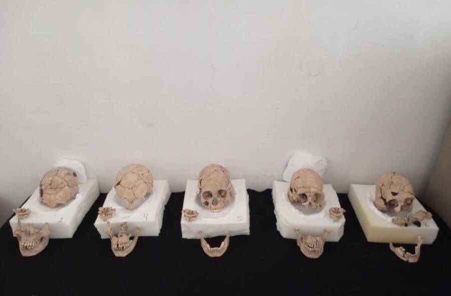 Skulls Lined Up