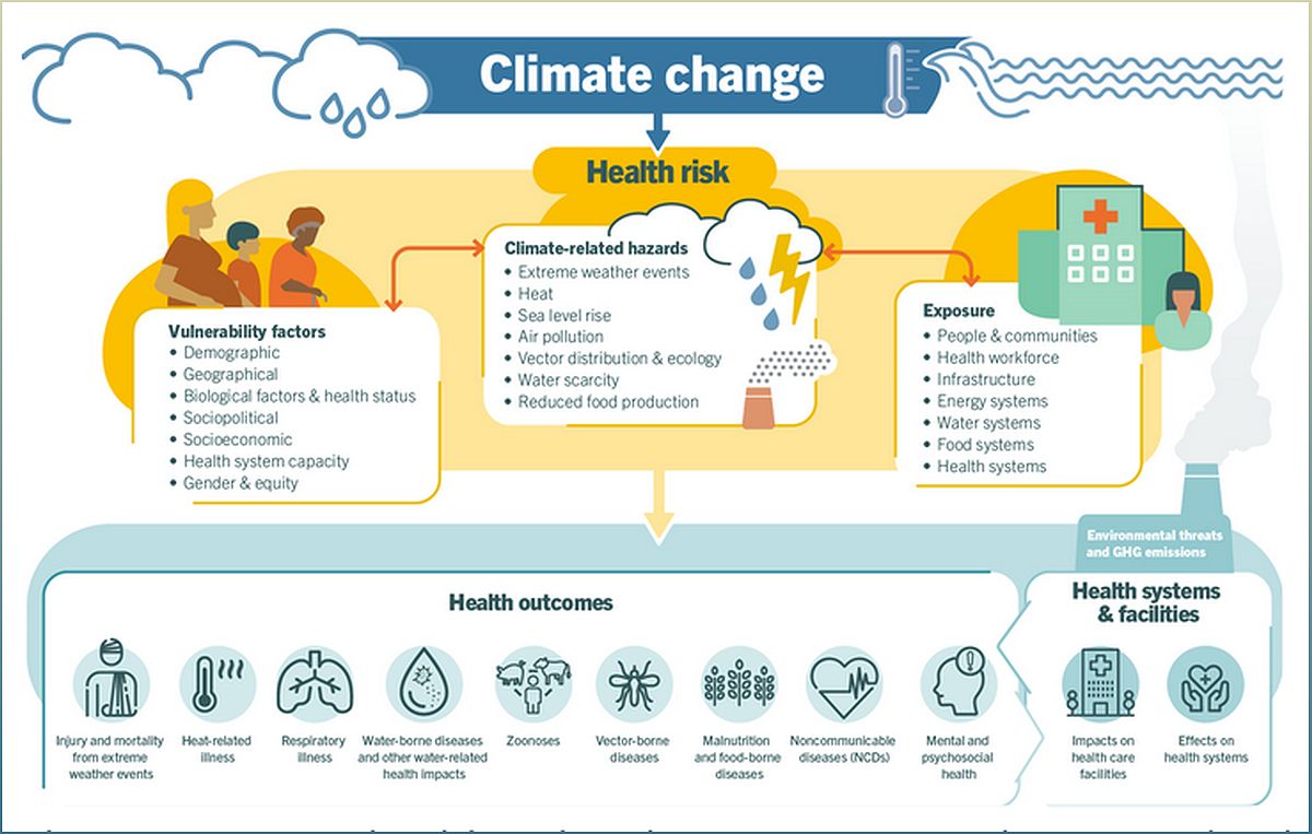 The Link Between Climate and Health: Insights from COP28 - -619919942