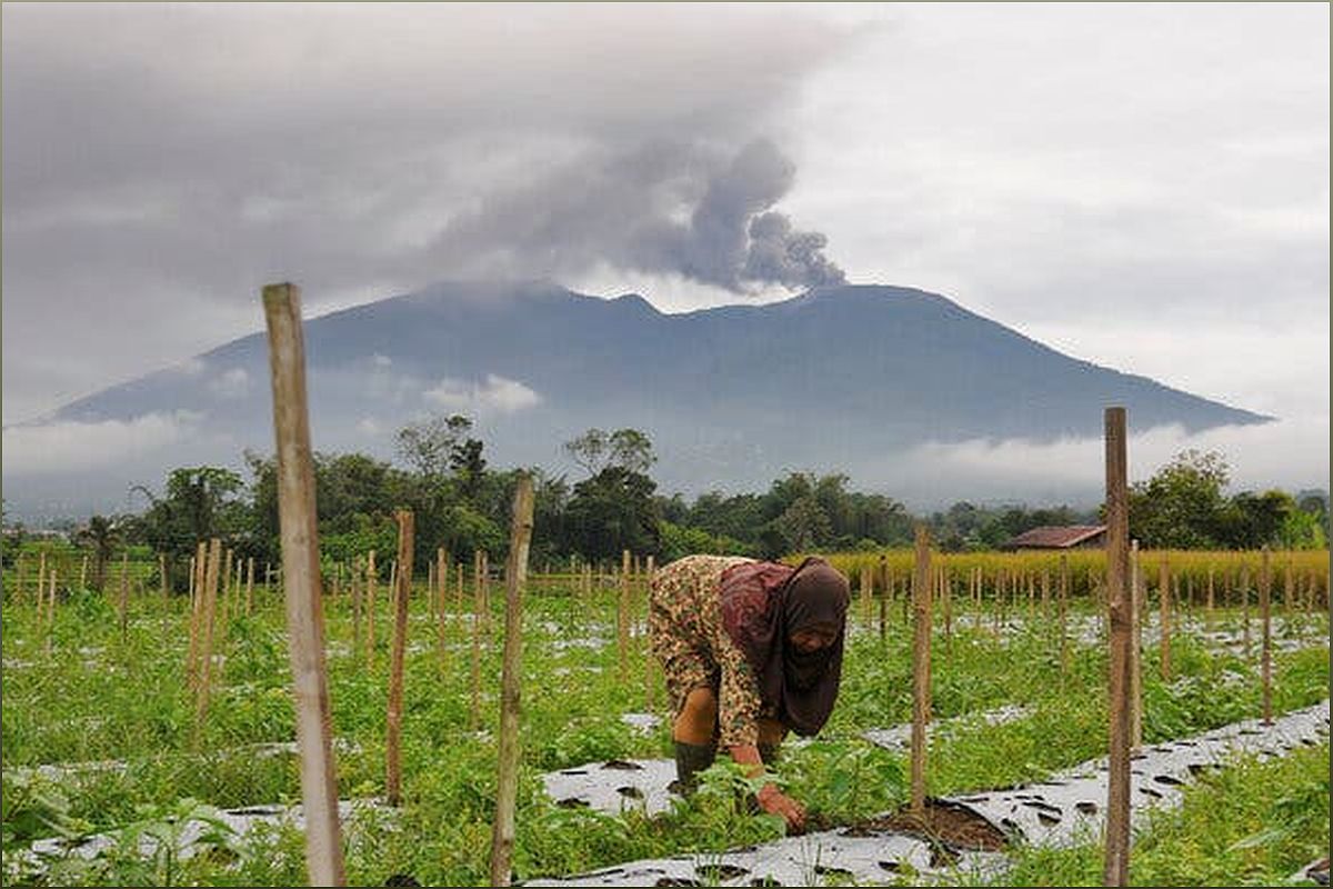 Tragedy Strikes as Marapi Volcano Erupts: 11 Climbers Found Dead, 12 Missing - -652466089